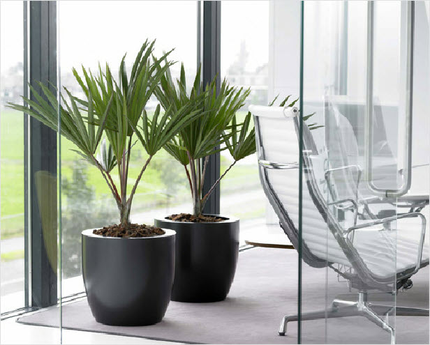 Straight sided synthetic planter Straight sided synthetic planter