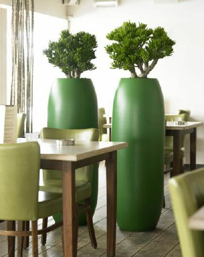 Straight sided barrel shaped plant container Straight sided barrel shaped plant container