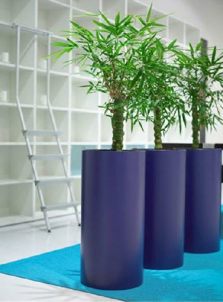 Tall round plant container Tall round plant container