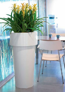 'Long pot' 'Long pot'