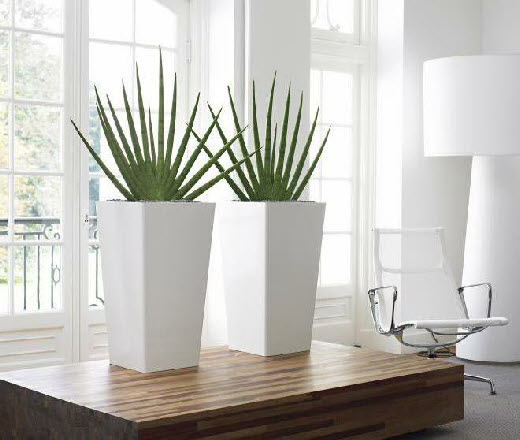 Tall tapered square planter Tall tapered square planter